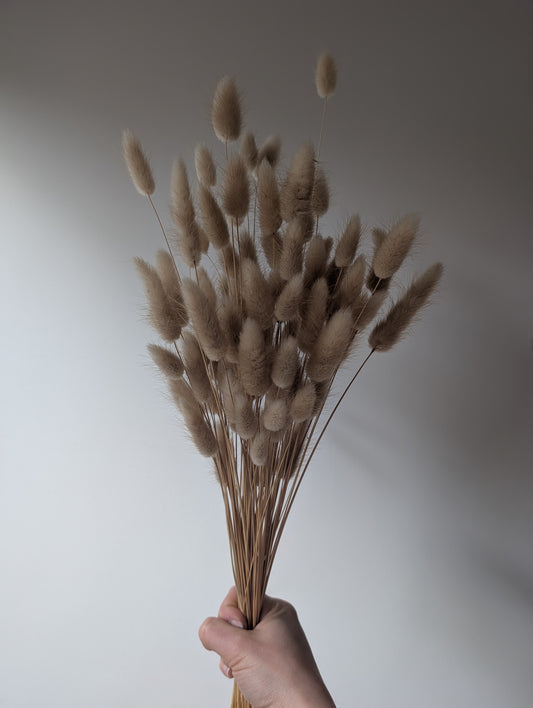 Dried Bunny Tails